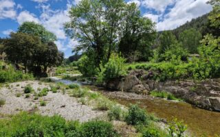 balades nature en Cévennes