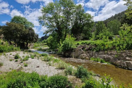 balades nature en Cévennes